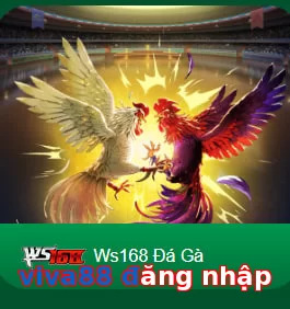 viva88 đăng nhập